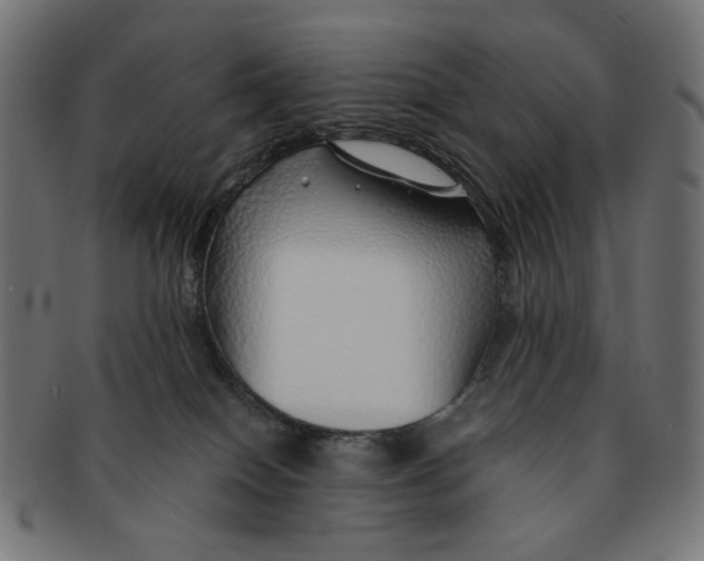 X0000091230086200709061528
