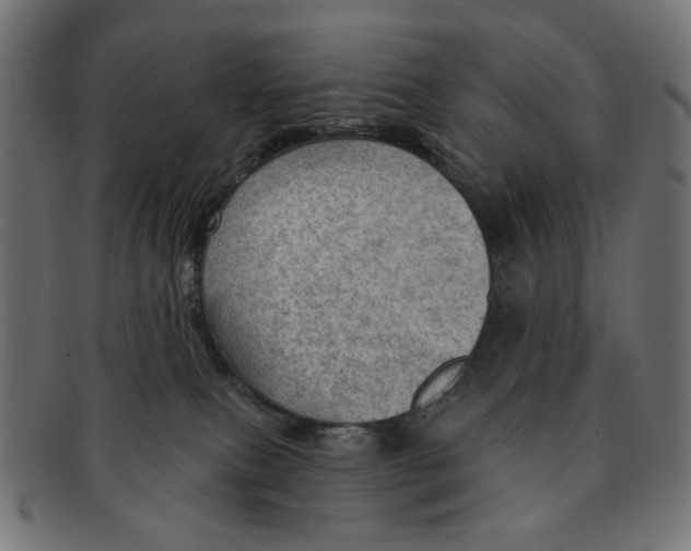 X0000091230087200709061528