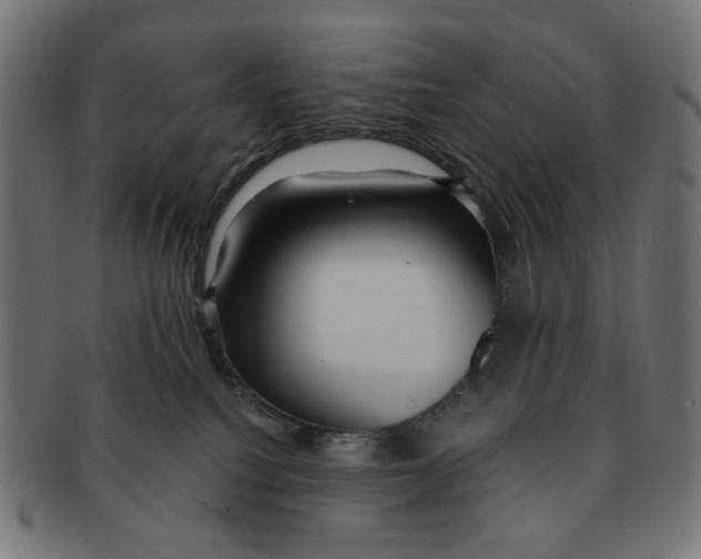 X0000091230088200709061528