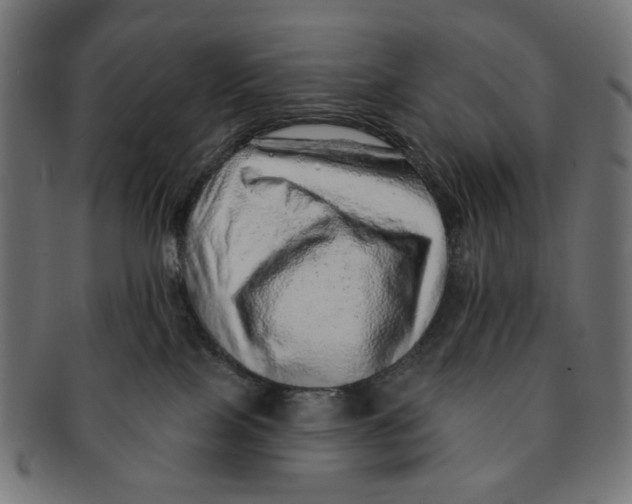 X0000091230089200709061528