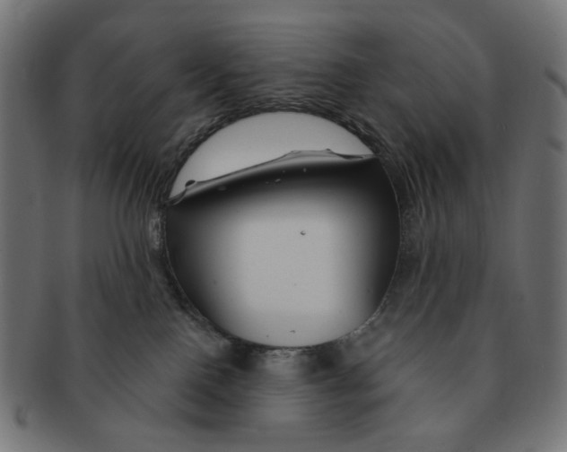 X0000091230090200709061528