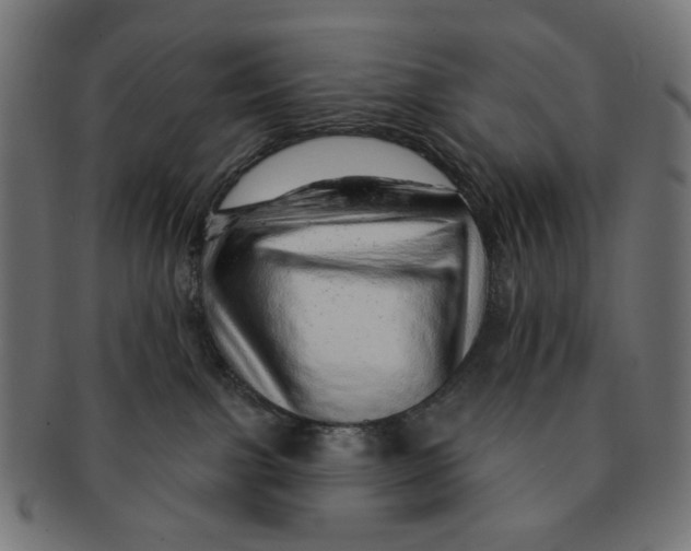 X0000091230091200709061528