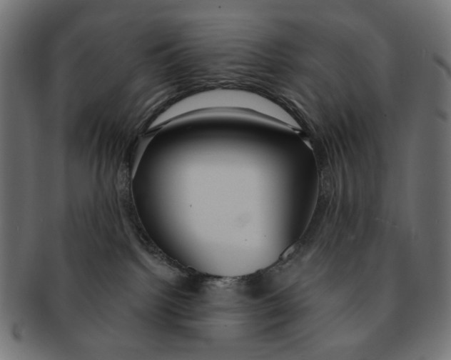 X0000091230092200709061528