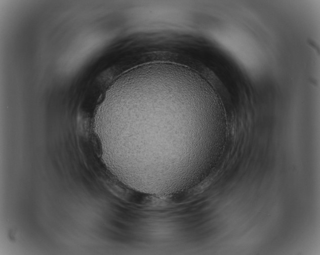 X0000091230093200709061528