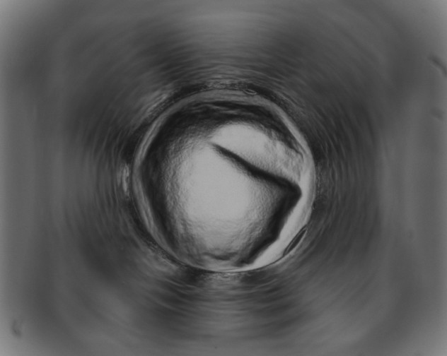 X0000091230094200709061528