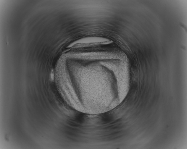 X0000091230095200709061528