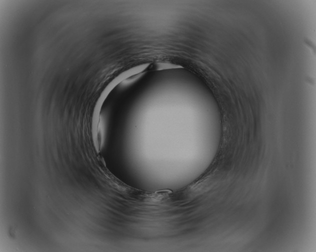 X0000091230096200709061528