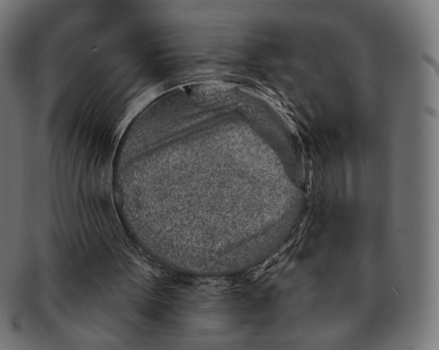 X0000091230099200709061527