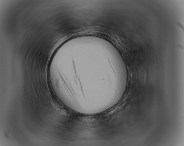 X0000091230100200709061527
