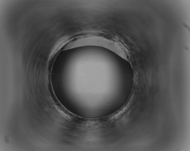X0000091230101200709061527