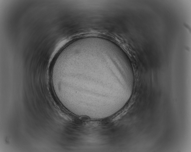 X0000091230102200709061527