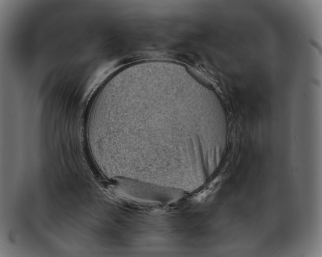X0000091230103200709061527