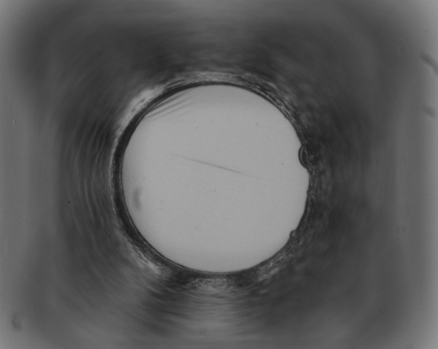 X0000091230104200709061527