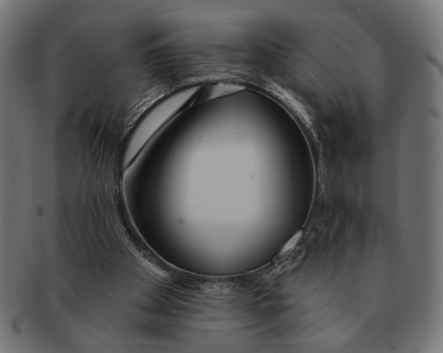 X0000091230105200709061527