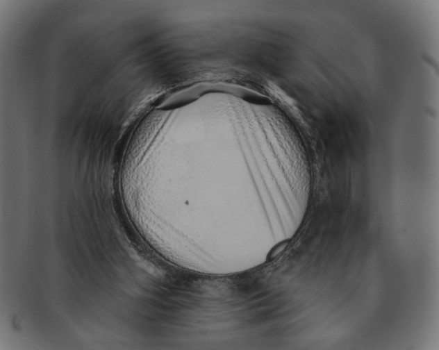 X0000091230106200709061527
