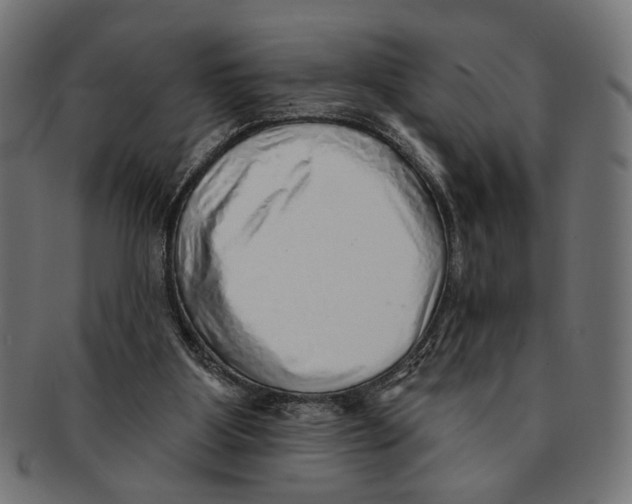 X0000091230107200709061527
