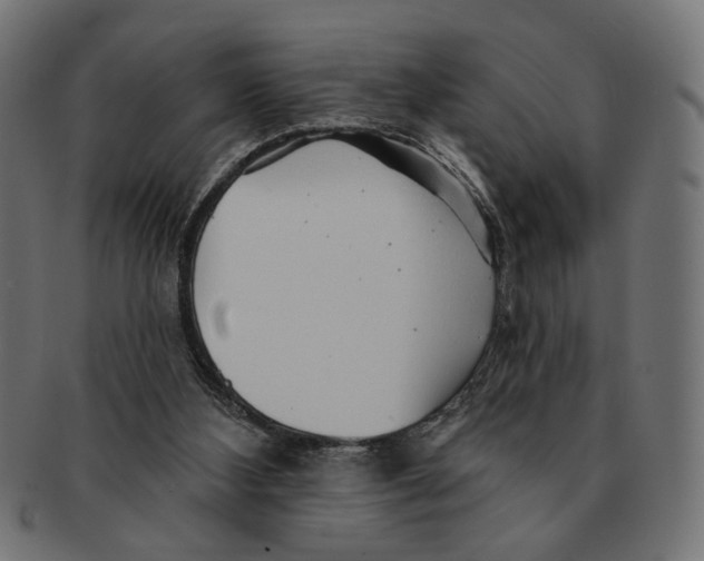X0000091230108200709061527