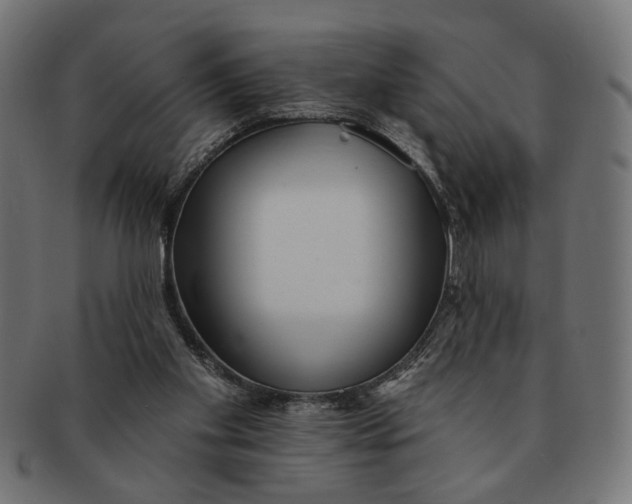 X0000091230109200709061527