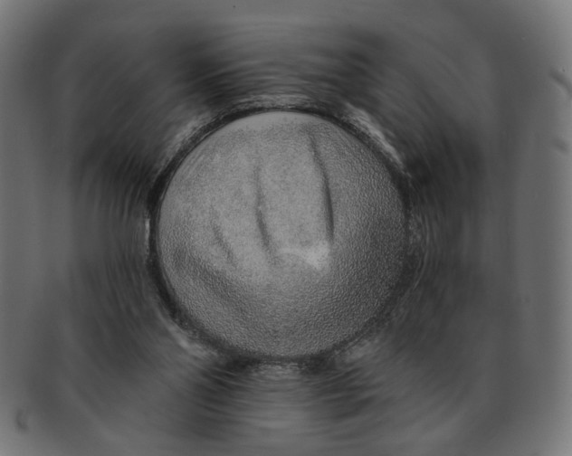X0000091230110200709061527