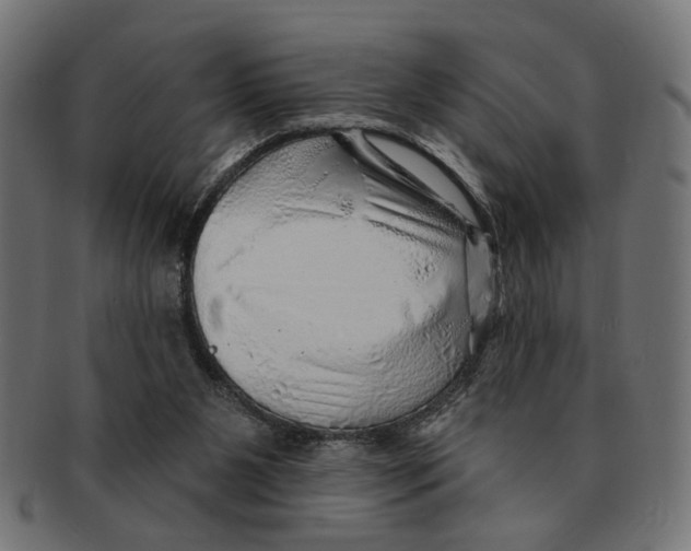 X0000091230111200709061527