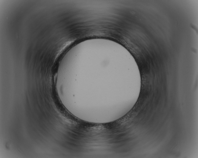 X0000091230112200709061527