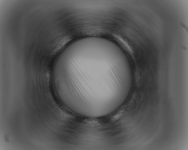 X0000091230113200709061527