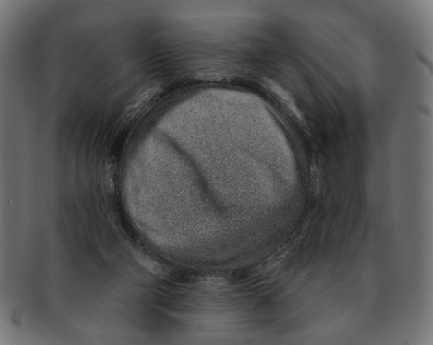 X0000091230114200709061527
