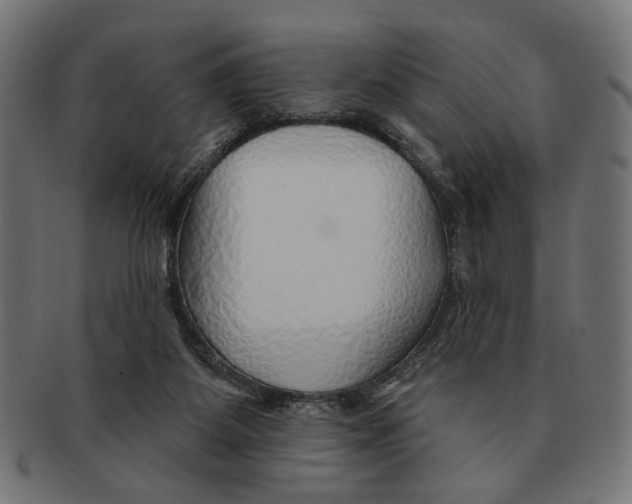 X0000091230115200709061527