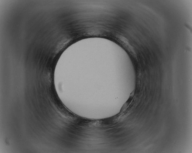 X0000091230116200709061527