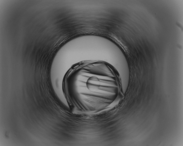 X0000091230117200709061527