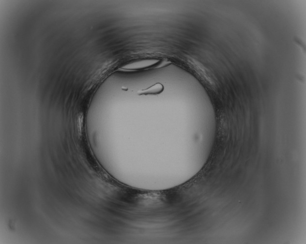 X0000091230118200709061527