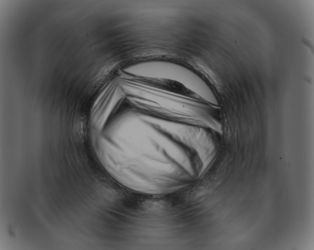 X0000091230119200709061527