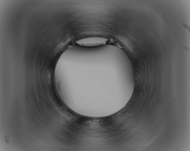 X0000091230120200709061527