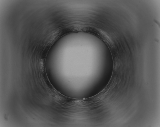 X0000091230121200709061527