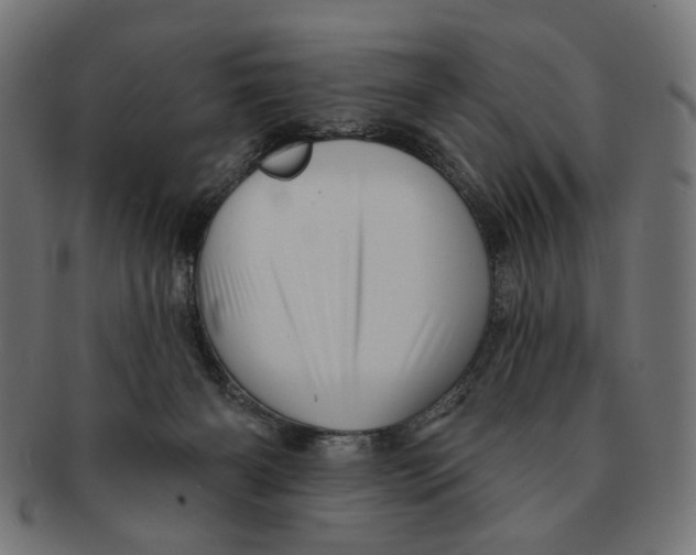 X0000091230126200709061527