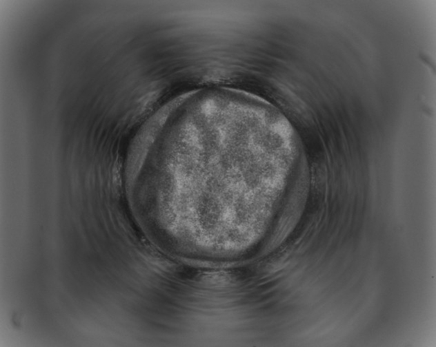 X0000091230127200709061527