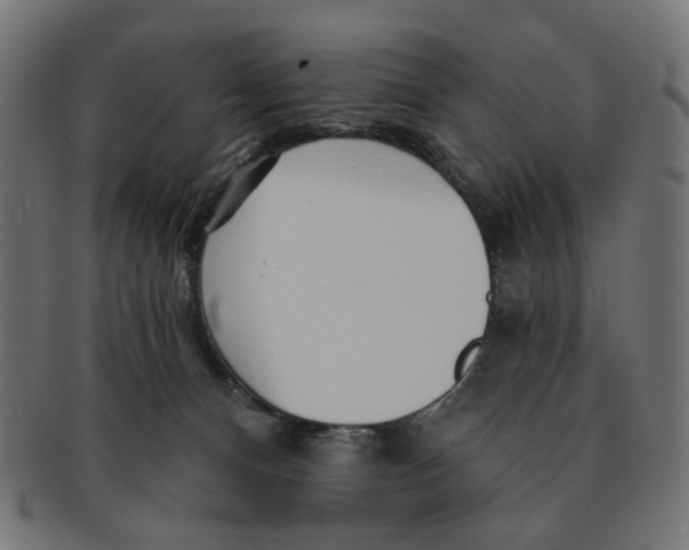 X0000091230128200709061527