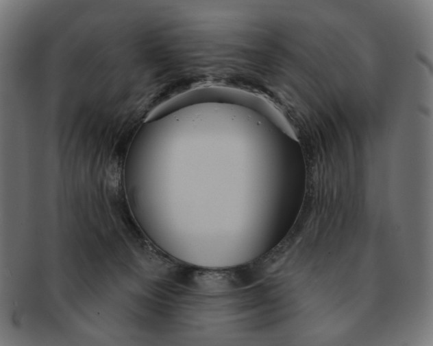X0000091230129200709061527