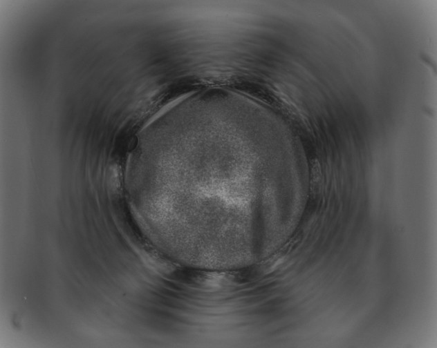 X0000091230130200709061527
