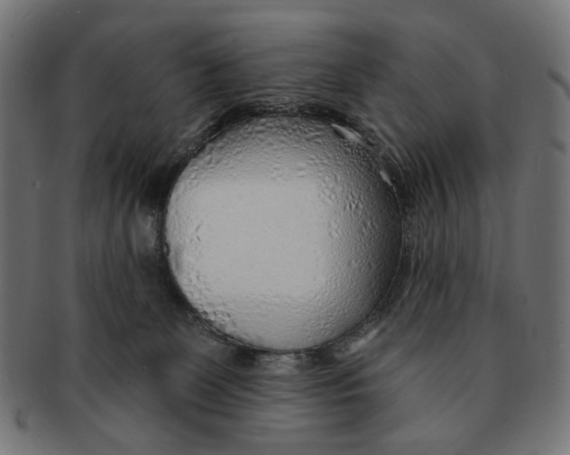 X0000091230131200709061527