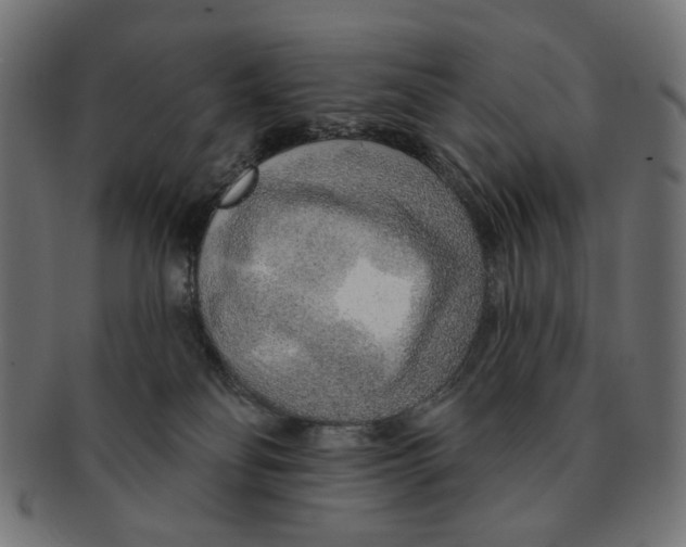 X0000091230134200709061527