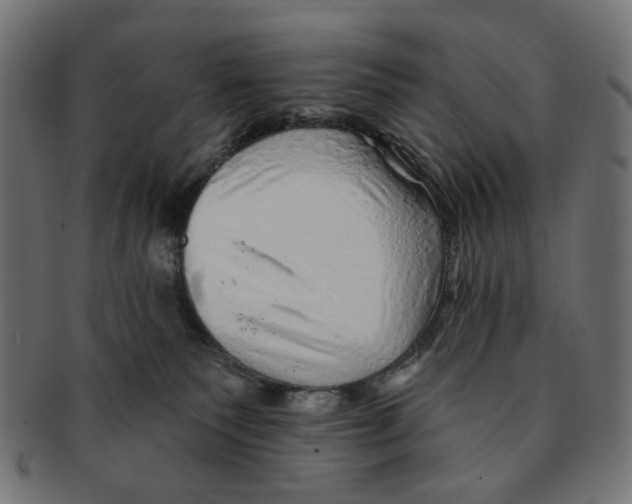 X0000091230135200709061527