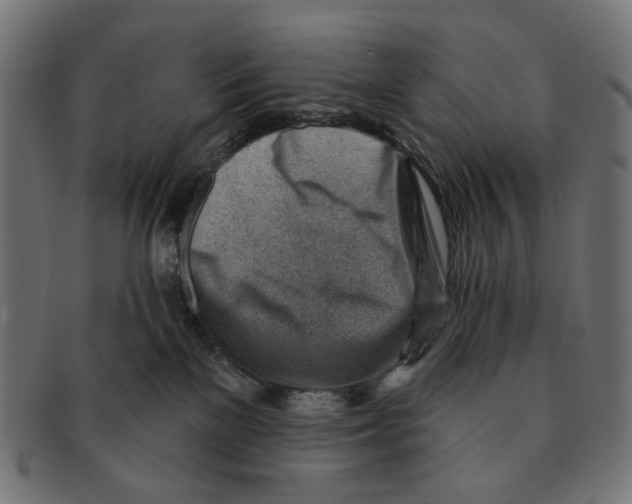 X0000091230137200709061527