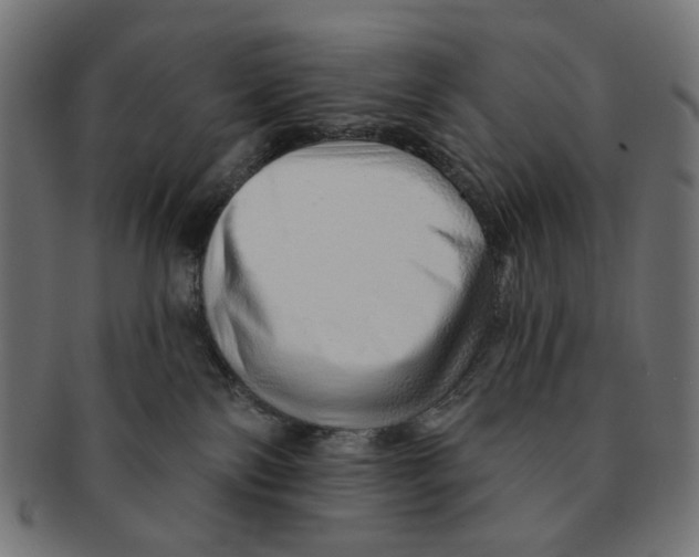 X0000091230138200709061527