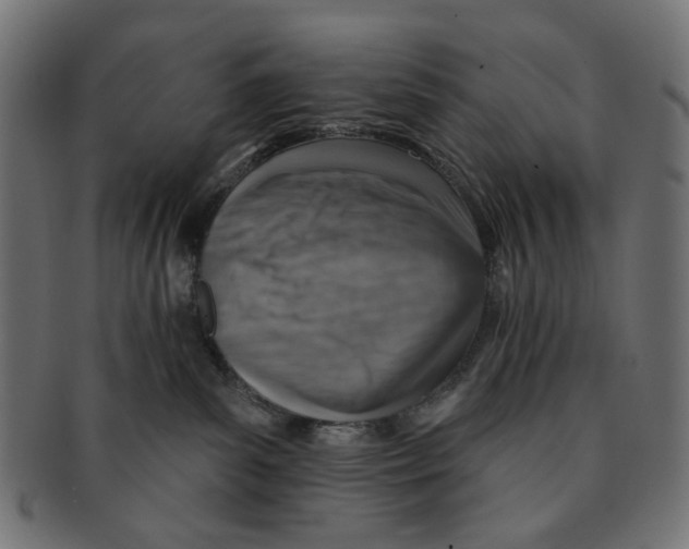 X0000091230139200709061527