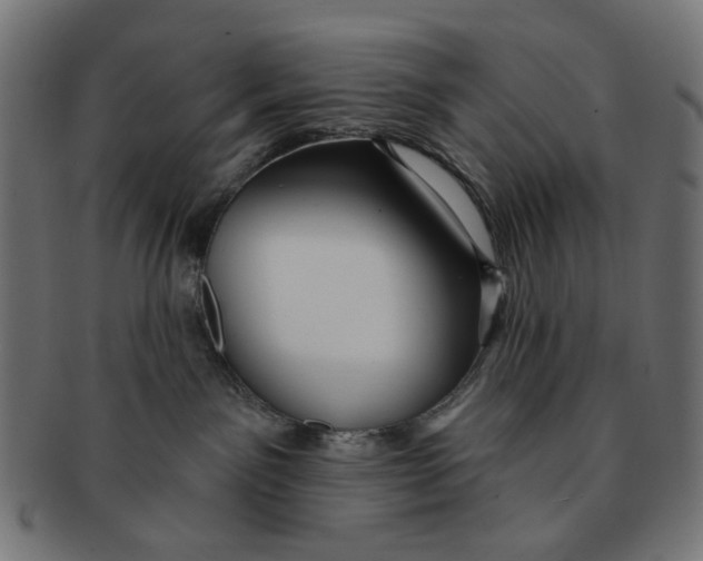 X0000091230141200709061527