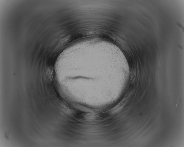 X0000091230142200709061527