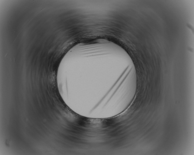 X0000091230144200709061527