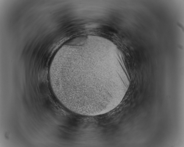 X0000091230146200709061526