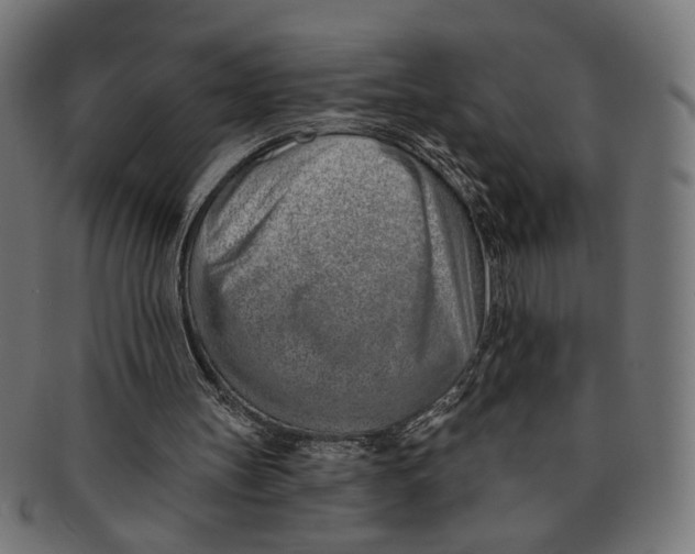 X0000091230147200709061526